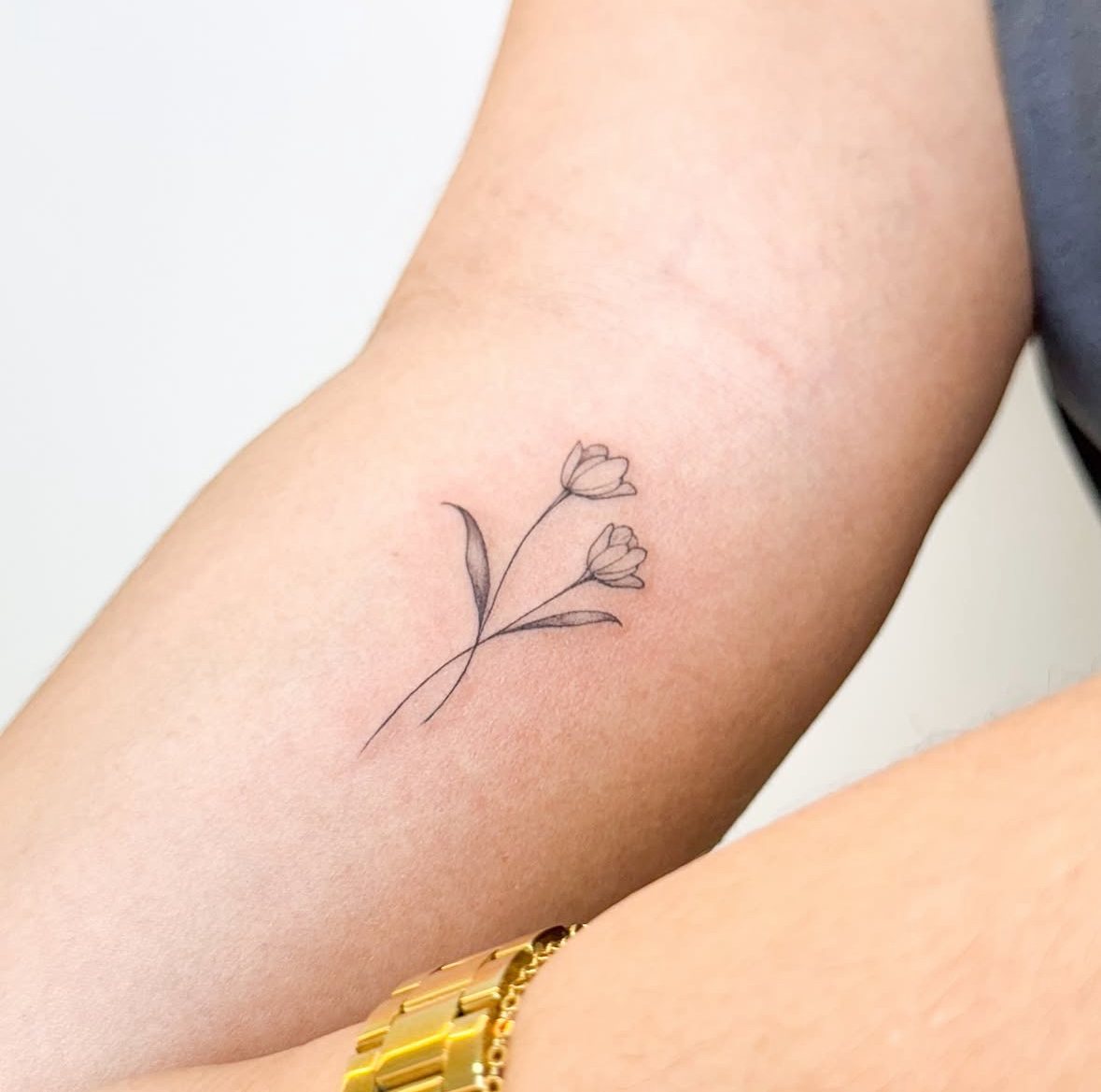 Fine line